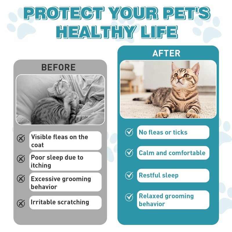 Natural Cat Care Drops Cat Health Supplement Drops Skin Itch Relief Shiny Coat with Omega-3 & Chicken Flavor Suitable for All Breeds of Cats 2 Fl Oz 2 Pack