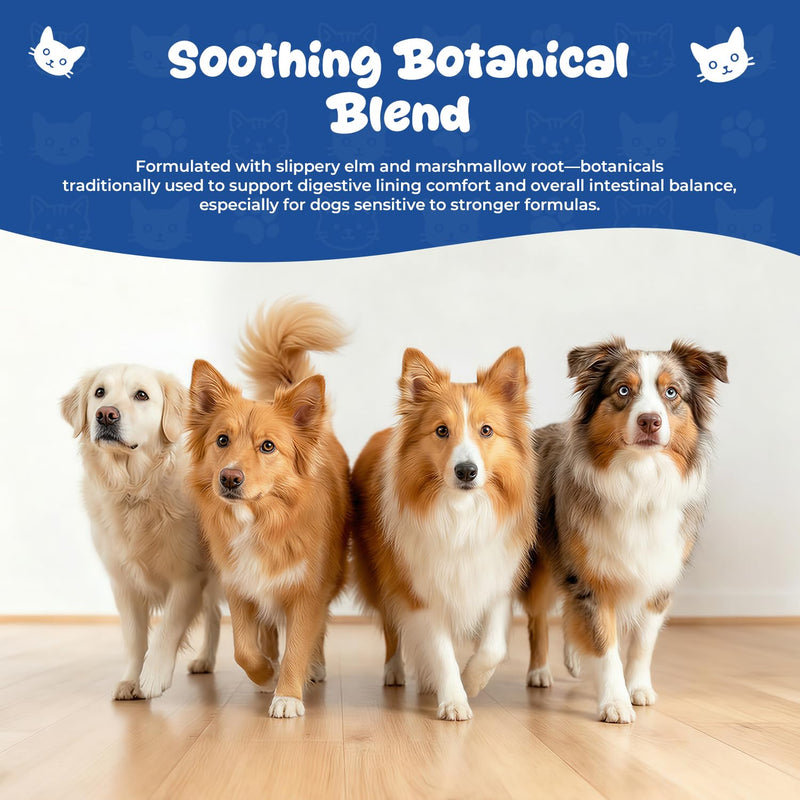 Digestive Support Drops for Dogs, Homeopathic GI Relief for Diarrhea, Constipation & Gas, Liquid Formula for Sensitive Stomachs, 2 fl oz (60 mL)