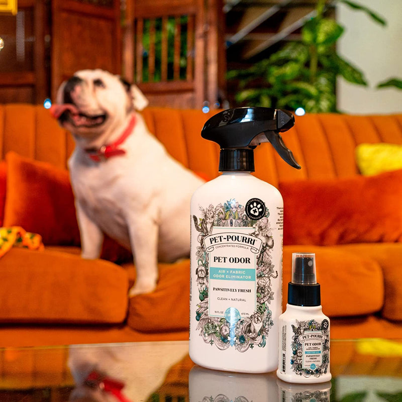 Pet-Pourri Pet Odor Air + Fabric Odor Freshener Spray, Pawsitively Fresh, 16 Fl Oz - BeesActive Australia