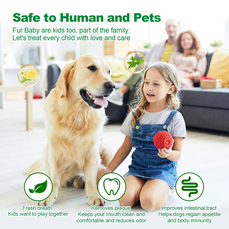 Dog Dental Powder,Dog Teeth Cleaning Powder,Dog Dental Cat Dental Care,Cat and Dog Teeth Cleaning,Canine Plaque Remover Helps Reduce Bad Breath,Improve Pet's Oral Cavity and Freshen Breath（80G） 80G