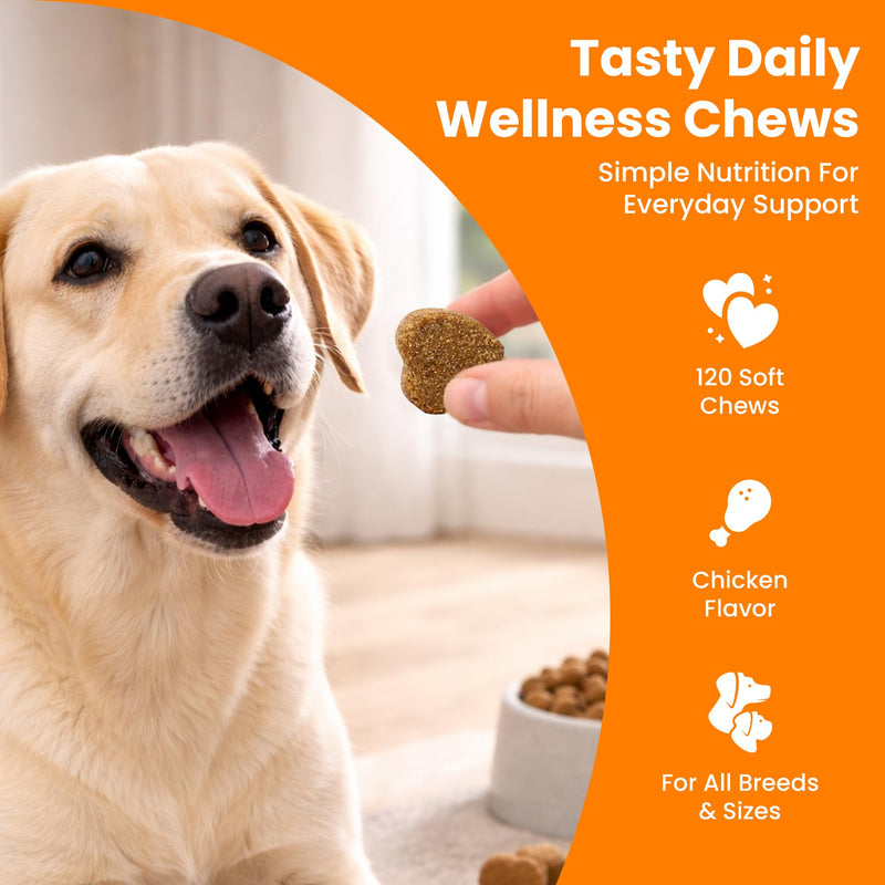 Dog Allergy and Probiotic Chews - 120 Allergy Chews for Dogs - Anti Itch Support for Pets Itchy Skin Relief Skin Health Support with Colostrum, Vitamin C, Omega by Pet IV