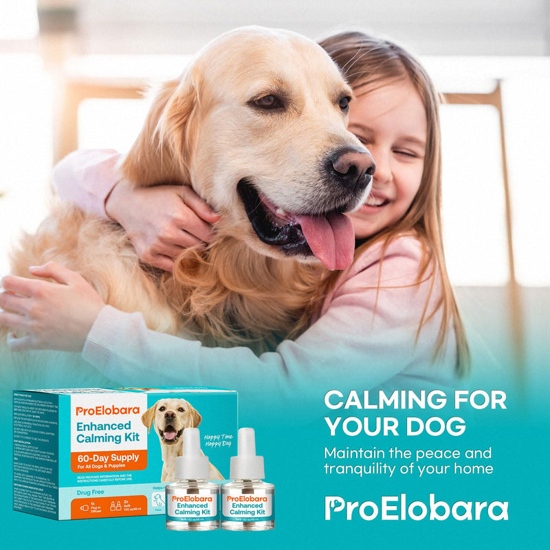 Calming atomizer for dog stress: Pheromone atomizer for dogs against anxiety - Comfort Dog Calm Pheromone Starter for home - lasts for 60 days BlueB - BeesActive Australia