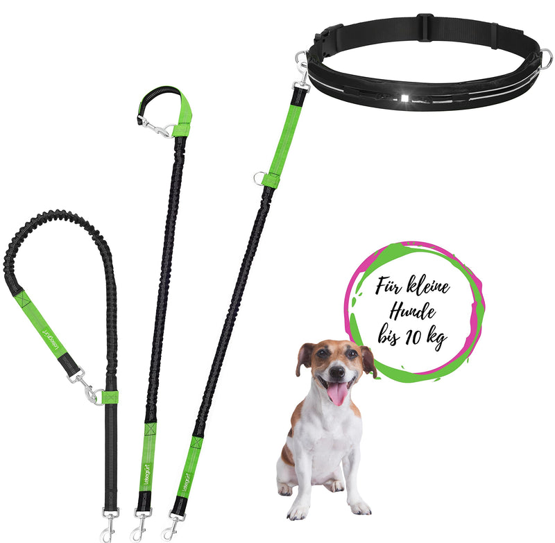 Quiet green jogging leash for small dogs up to 10 kg | Freehand leash for jogging with waist belt | 135cm to 185cm | Black Set Jogging Leash - Small Dogs - BeesActive Australia