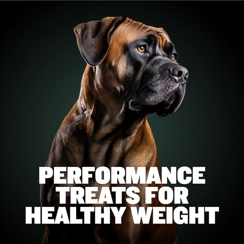 Bully Max Dog Weight Gainer Chews - High Calorie Health Supplement for Healthy Weight Gain, Immunity & Digestive Health for All Breeds & Ages - 2 Packs, 75 Soft & Tasty Chews per Pack - PawsPlanet Australia