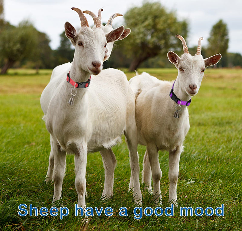 5 Pack Goat Collar with Bell, Sheep Collar with Bell, Grazing Copper Bells and Adjustable Nylon Collar Set for Small Farm Animal Sheep Cow Pet Goat Accessories 5 Pack - BeesActive Australia