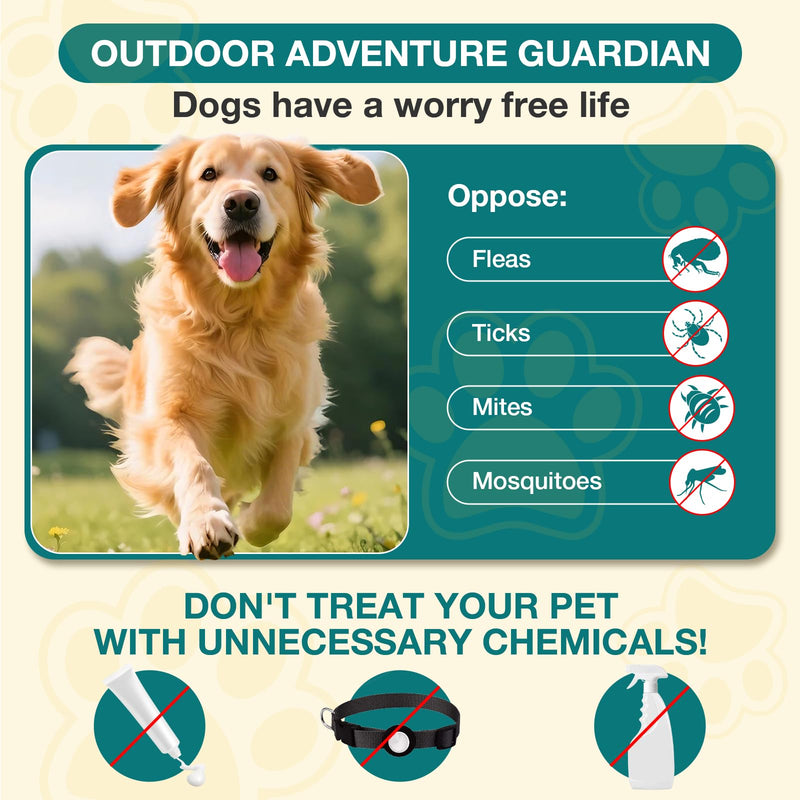 Flea and Tick Prevention for Dogs Chewables - 180 Treats - Natural Dog Flea and Tick Treatment Chewable for All Breeds & Ages,Skin & Coat Support Supplement 180 Chews(Pack of 1)