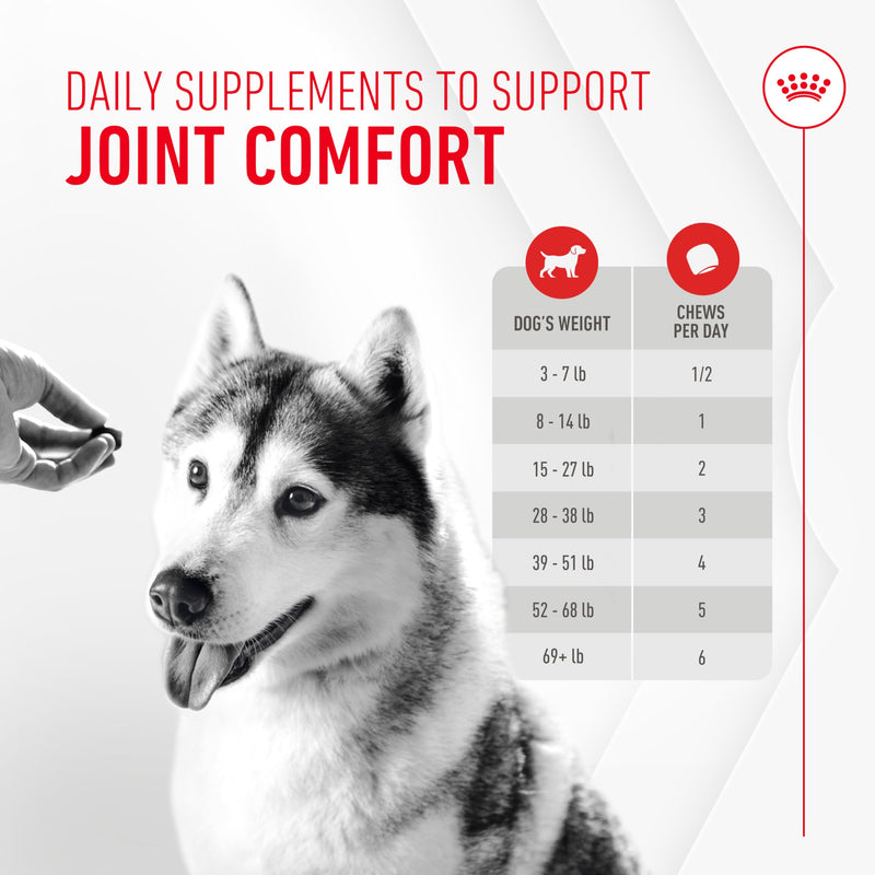 Royal Canin Joint Dog Supplement Soft Chews for Adult Dogs, 60 Count 8.47 Oz