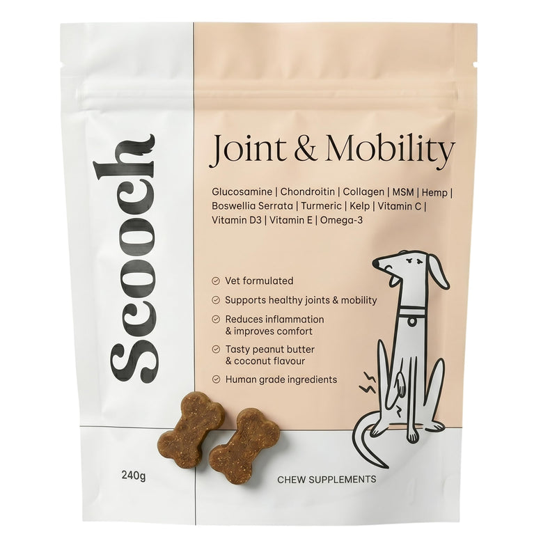 Scooch Joint & Mobility Chews for Dogs with Glucosamine, Chondroitin & MSM | Tasty Chew They Actually Eat, No Fishy Smell | Supports Stiff Hips & Mobility in Senior & Large Breeds | 60 Soft Chews
