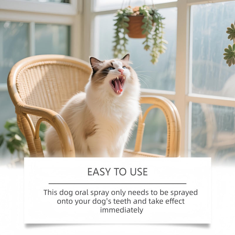 Do/g Teeth Cleaning Spr/ay,Oral Cleaning Spray for Dog and Cat,Fresh Breath Spray for Pet,No Brush Care,Easy Daily Use Dog Breath Freshener,Quick and Effective Clean Teeth,Long-Lasting Dog Fresh white