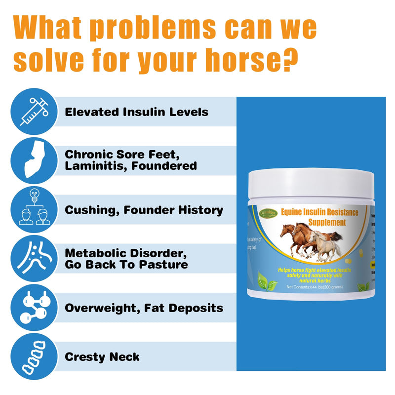 Insulin Resistance Supplement for Horses,Supporting Horses with Elevated Insulin Levels,Laminitis,Cushing's Syndrome,Chronic Sore Feet,Back to Pasture,0.44 lbs - BeesActive Australia