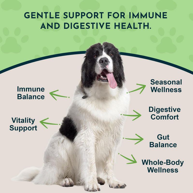 Animal Essentials Garlic Herbal Tonic for Dogs & Cats - Liquid Garlic Extract Supplement, All Natural, Provides Digestive & Immune Support, Antioxidant Protection for Pets - 1 fl oz 1 Fl Oz (Pack of 1)