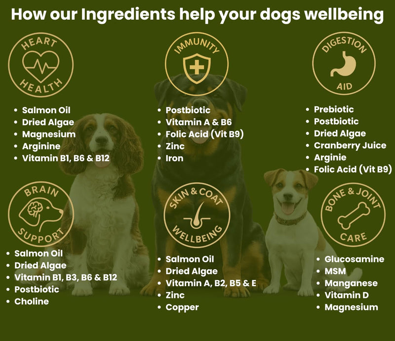 Premium Dog Multivitamin Soft Chews – Complete All-in-One Supplement for Joint, Skin, Coat, Digestion, Heart, Brain & Immune Health - Natural Ingredients - Full Wellbeing Support