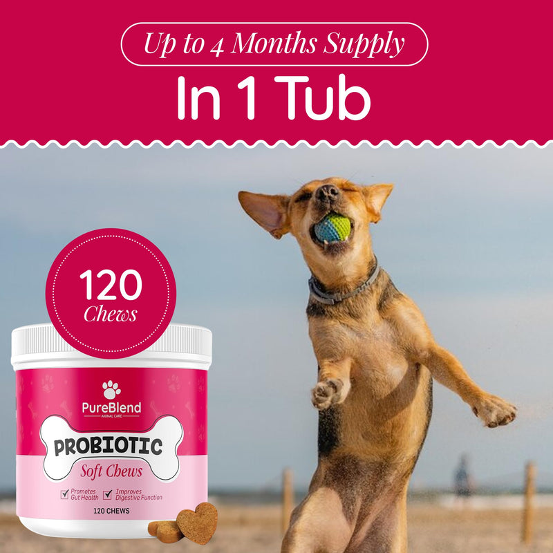 PureBlend Probiotic Soft Chews for Dogs — Dog Gut Health Supplement with Pumpkin, Prebiotics, Enzymes & Vitamins — 120 Chews, Up to 4 Month Supply