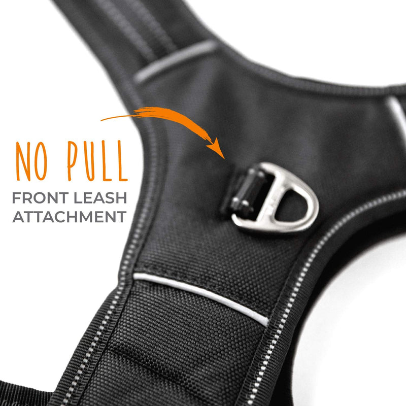 Mighty Paw Sport Harness 2.0 - Padded Dog Harness - Adjustable Neck and Chest Straps - Enhanced with Reflective Stitching - No-Pull Front Leash Attachment - Easy Grip Handle - Ultimate Comfort Medium Black - BeesActive Australia