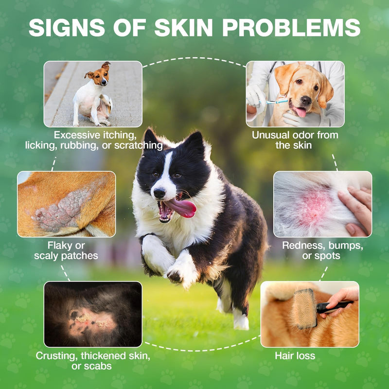 Yeast Infection Treatment for Dogs,Dog Ear Infection Treatment,Itchy Ear,Skin,Paws&Relief-Reduces Inflammation&Relieves Irritation,Dog Supplement Drops with Multivitamins Probiotics,60ml(1 Pack) Pack of 1