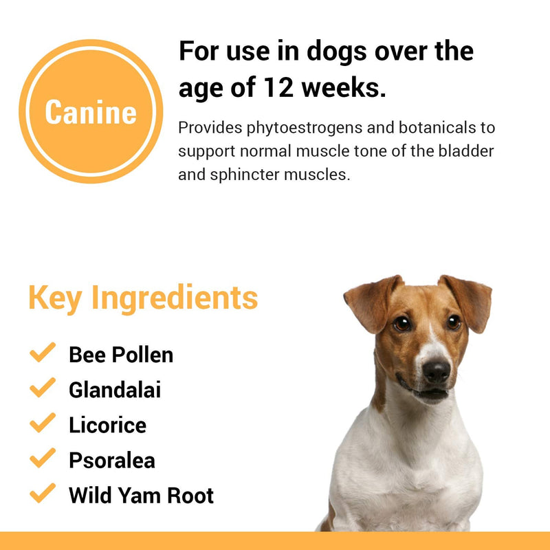 Vet Classics Bladder, Incontinence Support Dog Supplement – Supports Bladder Health for Dogs, Helps With Pet Incontinence – Includes Phytoestrogens, Botanicals – Chewable Tablets – 120 Ct. - BeesActive Australia