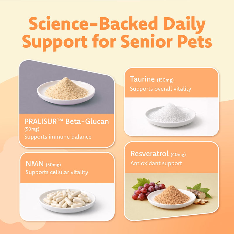 LOVITA Pets Senior Wellness Capsules for Dogs & Cats, with NMN, Resveratrol, Taurine, and PRALISUR Beta-Glucan, Daily Nutritional Support for Aging Pets, 60 Capsules