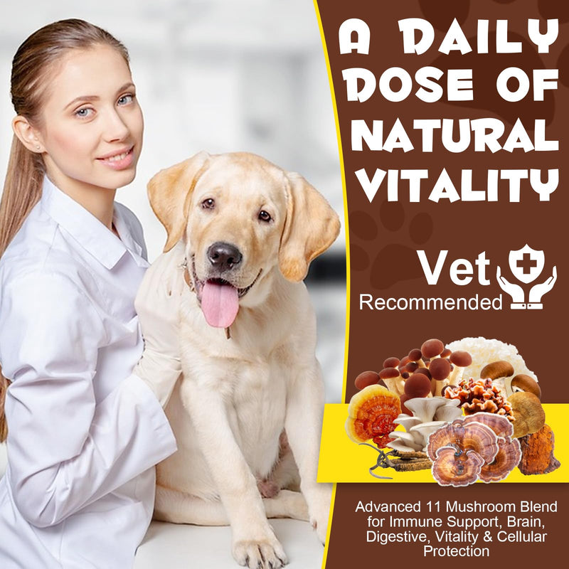 Mushroom Powder for Dogs, Wild Mushroom Supplement for Cats, Dog Multivitamin, Mushroom Supplement for Dogs, Boosting Immunity, Gut Digestion, Easy To Absorbed 4.23 OZ