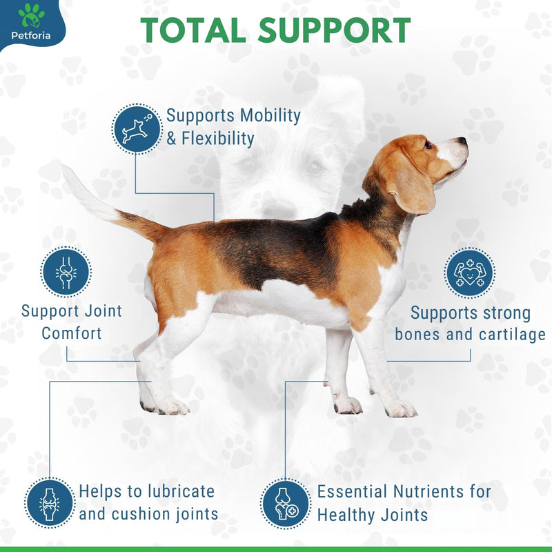 Dogs & Cats Joint and Hip Support Supplement 50ml – Fast Acting Natural Mobility Formula with Glucosamine Vitamin C and Herbal Extracts for Comfort Flexibility and Joint Care Pack of 1