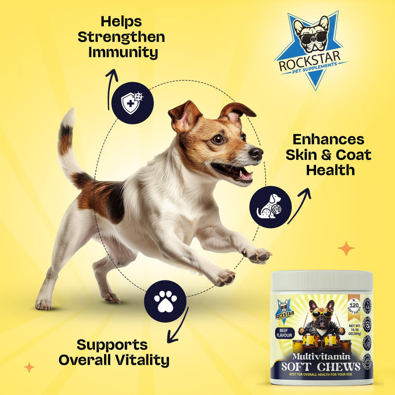 Multivitamin Soft Chews for Dogs | Beef Flavour | Daily Hip & Joint, Skin & Coat, Gut Health Support with Glucosamine, Probiotics, Vitamins & Omega-3 | All-in-One Supplement.