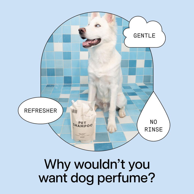 DedCool Pet Shampoo (01 Taunt, 16.9 oz) Tear-Free, for Sensitive Skin, Hypoallergenic, Dry Skin & Itch Relief, Deodorizing Shampoo & Conditioner for Dogs & Cats, Vegan, Clean, Non-Toxic 16.9 Ounces - PawsPlanet Australia