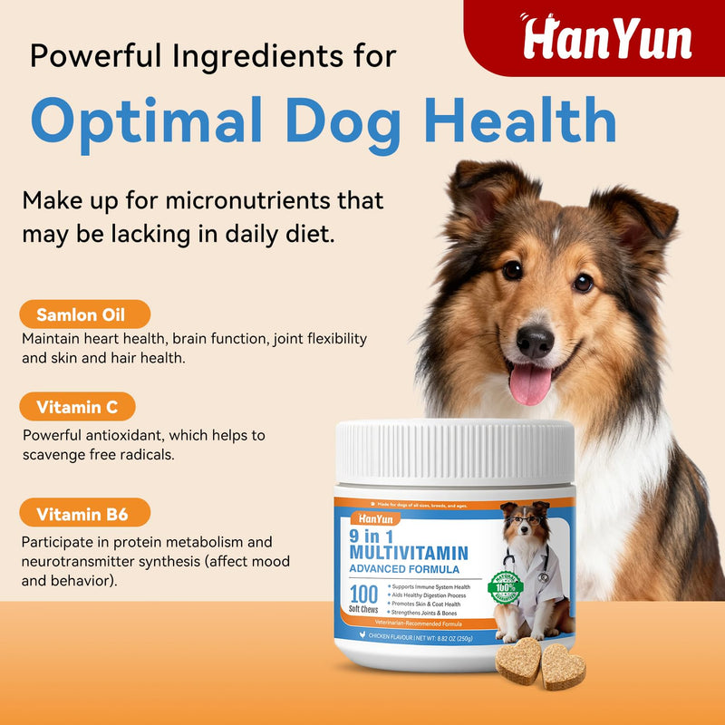 BSLVWG 9-in-1 Dog Multivitamins Chewable,100 Count Dog Vitamins and Supplements Hip & Joint, Pet Immune Support, Skin & Coat, Gut & Heart Health - Senior & Puppy Multivitamin Pet Supplement