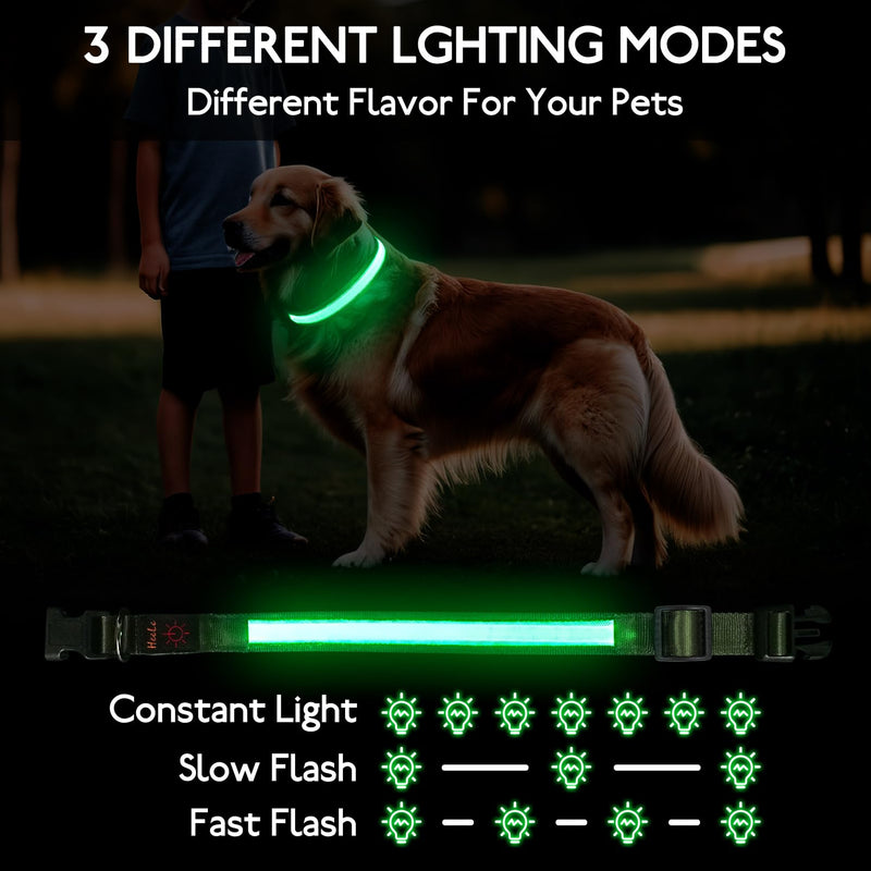 HEELE Luminous Dog Collar, Luminous Collar, Type-C Rechargeable, Luminous Dog Collar, Waterproof, LED Collar for Dogs, Dog Collar with 3 Lighting Modes, Green, M - BeesActive Australia