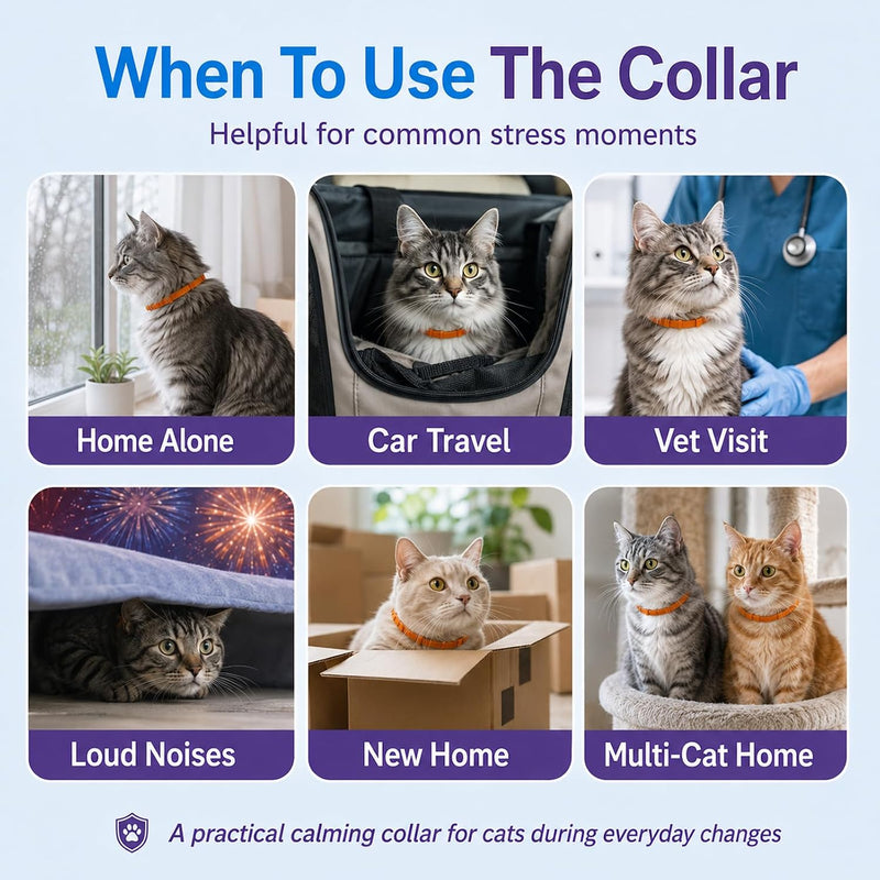 Calming Collar for Cats - Cat Calming Collar Infused with Synthetic Pheromones, Cat Pheromone Diffuser Necklace for Anxiety Relief, Travel, Keeping Quiet - 4 Weeks Supply Each Collar (Orange, 4P)