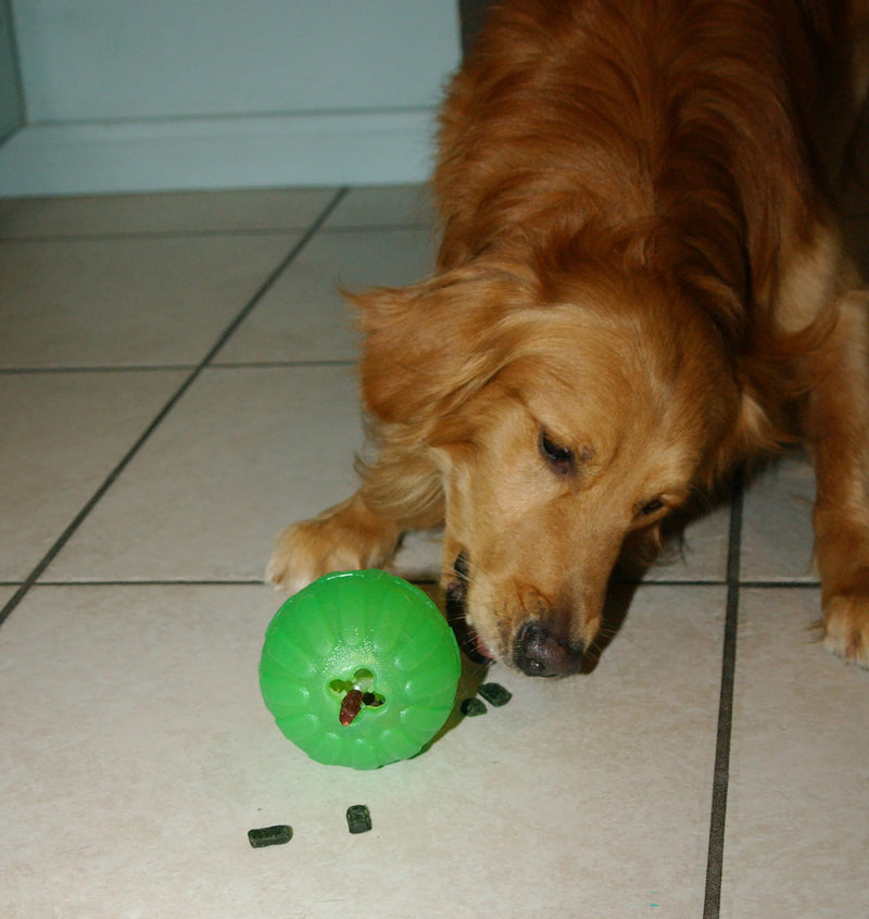 Treat Dispensing Chew Ball, Large - BeesActive Australia