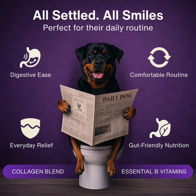 Dr. Flex Collagen Powder for Dogs | 300g Bovine & Marine Collagen | Joint & Mobility Support for All Dogs | High Strength Vitamin B Complex (B1 B2 B3 B5 B9 B12) | Aids Skin, Coat Health & Digestion Collagen Complex