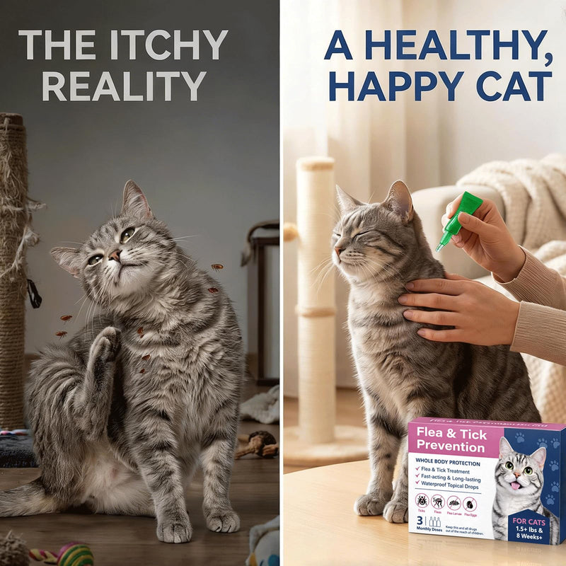 Topical Flea & Tick Drops for Cats & Kittens, Waterproof Monthly Care for Cats Over 1.5 lbs and 8 Weeks or Older, 3 Doses (3-Month Supply)