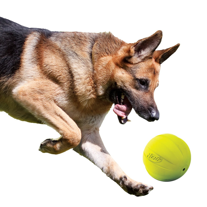 Nerf Dog Rubber Ball Dog Toy with Squeaker, Lightweight, Durable and Water Resistant, 4 Inch Diameter for Medium/Large Breeds, Single Unit, Green - BeesActive Australia
