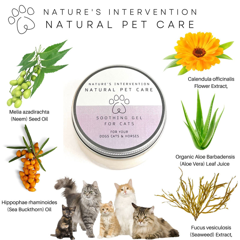 NATURE'S INTERVENTION 99% Natural Soothing Aloe Gel for Cats – 100g – Aloin-Free Aloe Vera & Sea Buckthorn – Safe for Feline Grooming – Hydrating & Non-Greasy