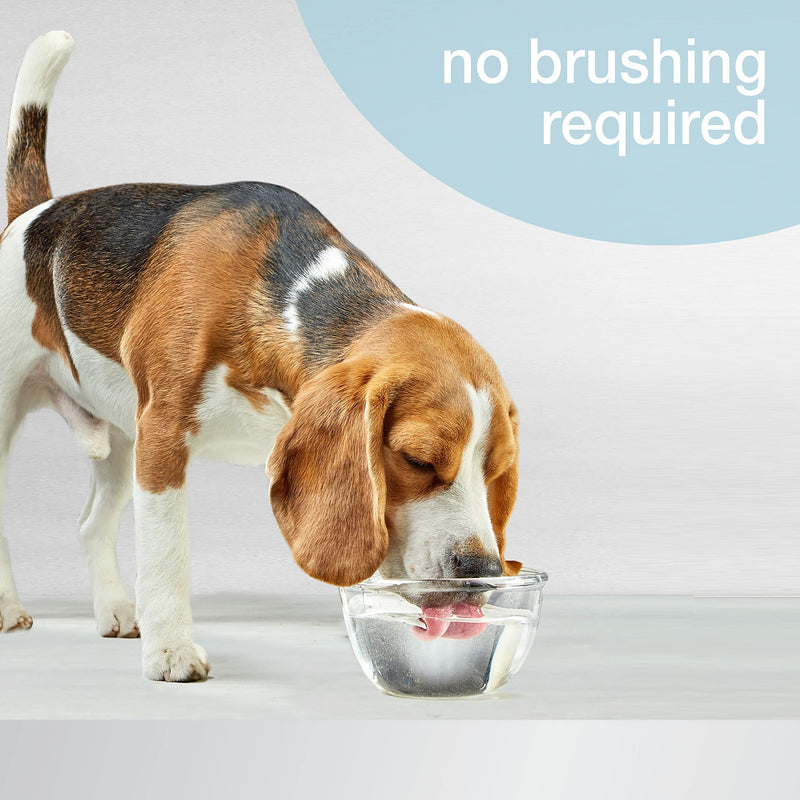 Nylabone Advanced Oral Care Dog Water Additive for Dental Care - Liquid Tartar Remover - Dog Breath Freshener & Teeth-Cleaning Liquid (16 oz.) 16 oz. (Pack of 1) - BeesActive Australia