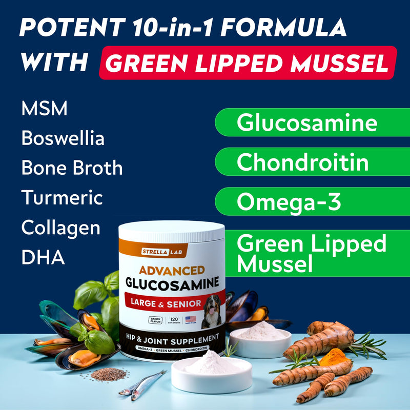 Advanced Glucosamine Hip & Joint Supplement for Senior Dogs - Green Lipped Mussel & Collagen - Hip & Joint Pain Relief - Large & Small Breed - Joint Health - Bacon - 120 Chews