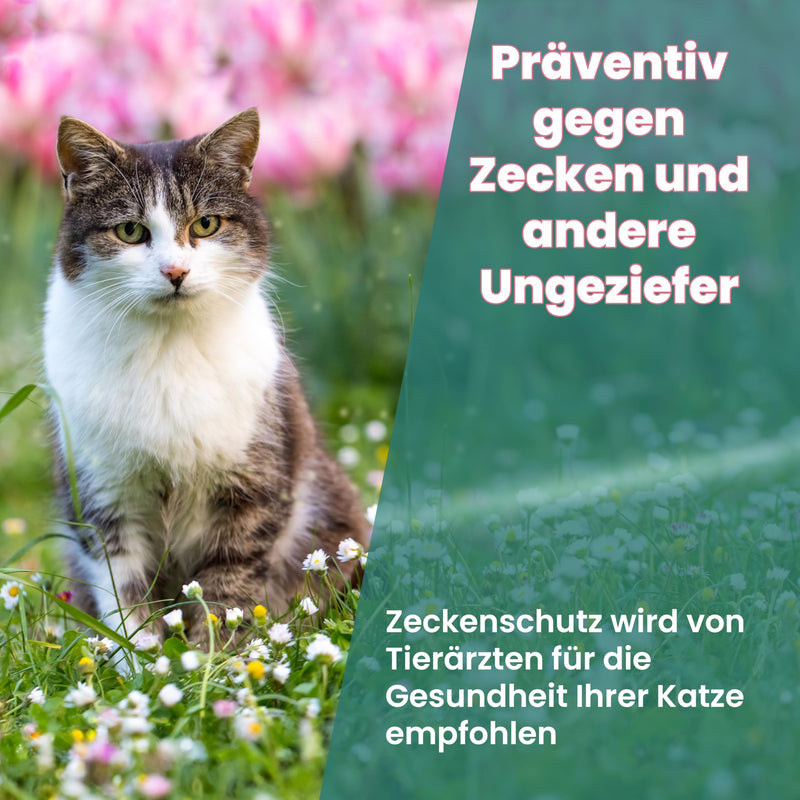 Animal Vita® Spot On tick protection for cats [6 months of reliable tick protection] Tick repellent for cats - tick protection for cats - Spot On for cats - BeesActive Australia
