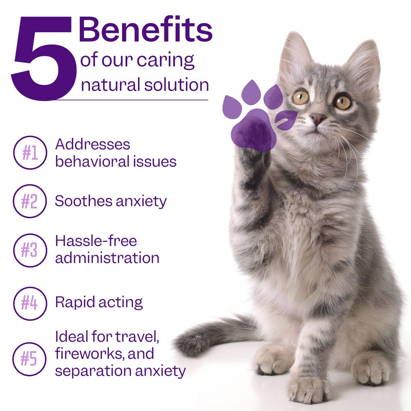 Cat Calming Drops, Cat Anxiety Relief, Relaxant Supplements, Valerian & Ashwagandha - 100% Natural Stress Treatment, No need for Cat Calming Plug-In, 30ml 30 ml (Pack of 1)