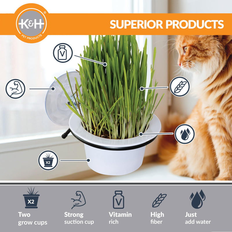K&H Pet Products EZ Mount Grow Station Cat Grass for Indoor Cats, Healthy Home Grown Oat Grass Kit Mounts to Windows, Pairs Purr-fectly with Window Perches, Farmed in USA Non-GMO - 1 Refill Included - PawsPlanet Australia