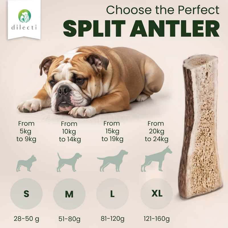 Premium Natural Deer Antlers For Dogs - Rich in Proteins & Minerals - Durable, Long Lasting Dog Chew for Dental Care, Teething, and Boredom - Spilt S (28-50g), pack of 3 S (pack of 3) - Spilt / Half