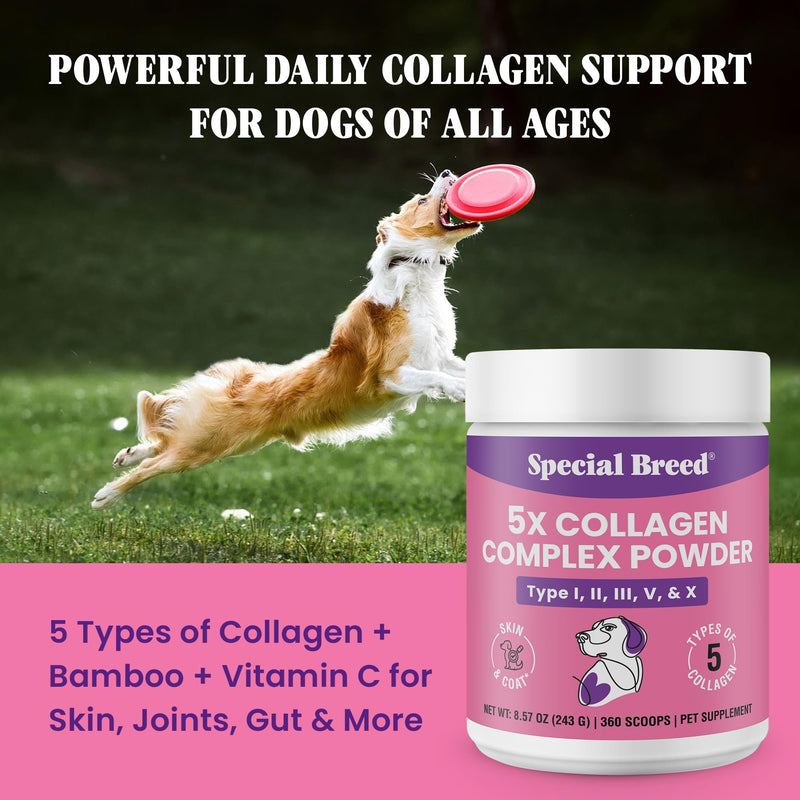 Premium 5X Collagen Powder for Dogs - Types I, II, III, V & X - Skin, Join, Gut & Coat Support - Collagen Powder with Bamboo & Vitamin C, 180 Scoops 8.57 oz 8.57 Ounce