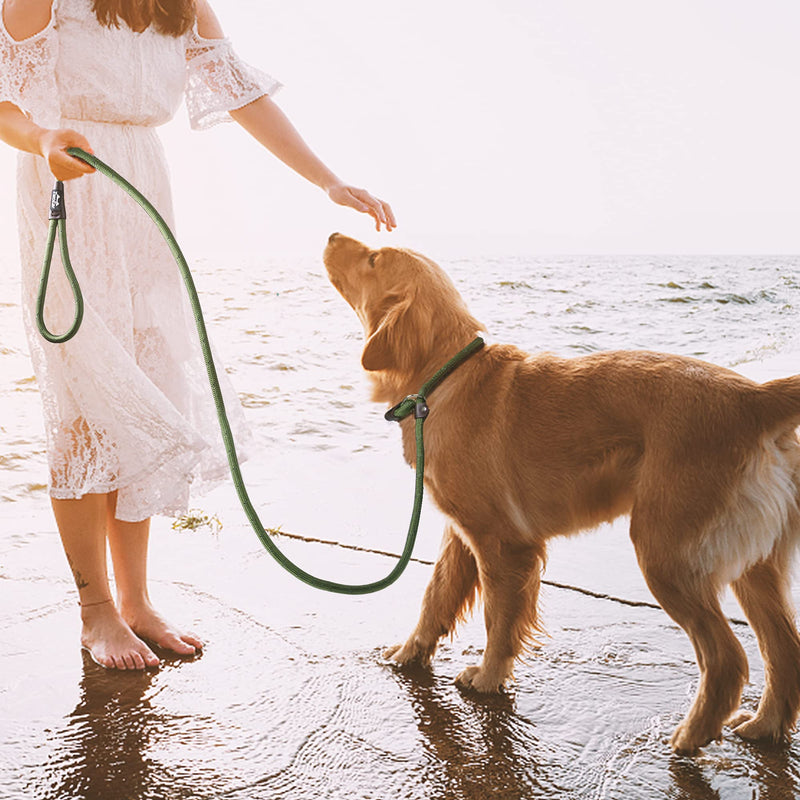 TwoEar Dog Leash Dog Slip Rope Leash 1/2" x 6FT Dog Training Leash Heavy Duty Strong Slip Lead Highly Reflective Threads for Small Medium and Large Dogs(Green) Large(1/2''x6ft) Green - BeesActive Australia
