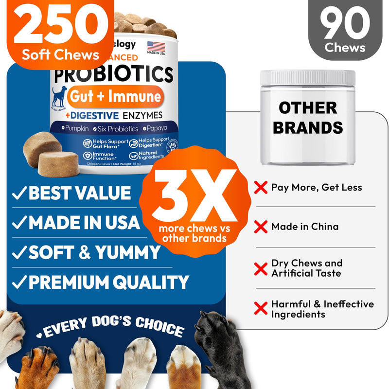 Probiotics for Dogs - 250 Dog Probiotics Chews - Digestive Enzymes & Prebiotics - Support Gut Health, Diarrhea, Gas & Constipation Relief - Itchy Skin, Allergies, Yeast Balance - Advanced Supplement 250 Chews Probiotic Chews