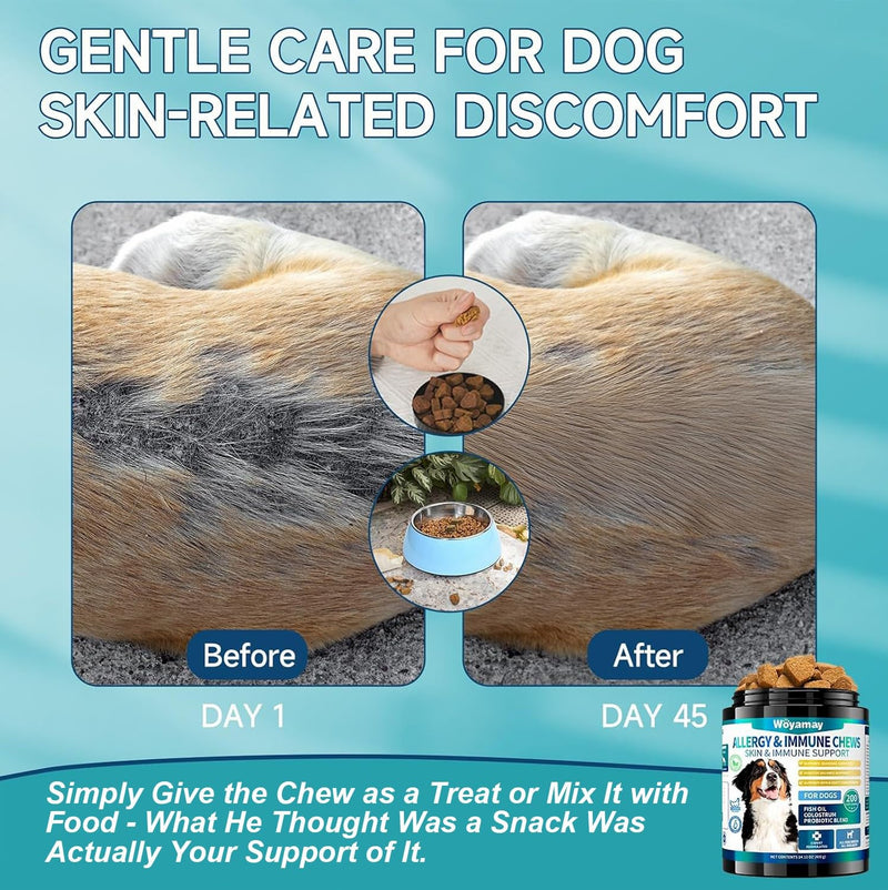 2-in-1 Dog Health Bundle: Allergy & Skin + Hip & Joint Chews (200 Each) - Glucosamine, Omega 3, Turmeric for Itch Relief & Joint Mobility, Chicken Flavor