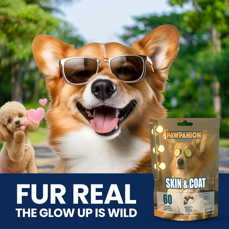 Skin & Coat Soft Chews for Dogs, Omega Fish Oil + Biotin + Vitamin E, Healthy Skin & Shiny Coat Support, Anti Shedding Formula, 60 Soft Chews Salmon Flavor Skin & Coat