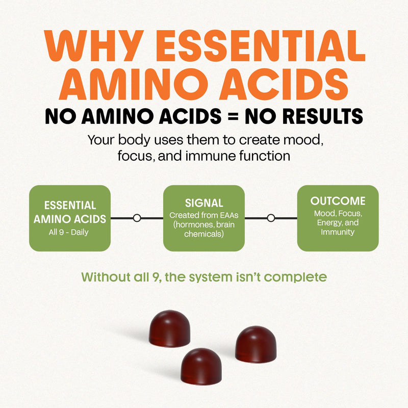 Awesome Everyday - Essential Daily Nutrition Gummies - Adults - 28 Count | Contains 9 Essential Amino Acids, Features 19+ Vitamins and Minerals, Has 55+ Fermented Superfoods and Greens Blend 28 Count (Pack of 1)