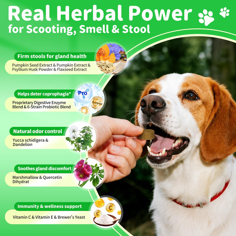 Dog Probiotics & Digestive Enzymes – Pumpkin Fiber Chews for Gut Health, Diarrhea & Upset Stomach Relief, Gas & Stool Support, Beef Flavor Soft Chews – 90 Count 90 Count (Pack of 1)