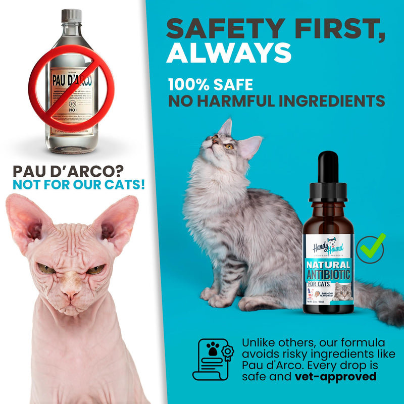 Antibiotics for Cats - Cat Allergy Relief for Cats - Perfect for Cat Sneezing Treatment and Cold Remedy for Cats - PawsPlanet Australia