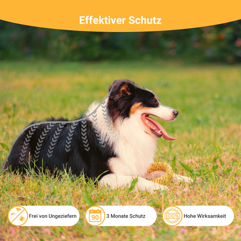 Animal Vita® Spot On tick protection for dogs [reliable tick protection] tick repellent for dogs - tick protection dog - Spot On for large dogs (30 to 50kg) 30 to 50 kg (XL) - BeesActive Australia