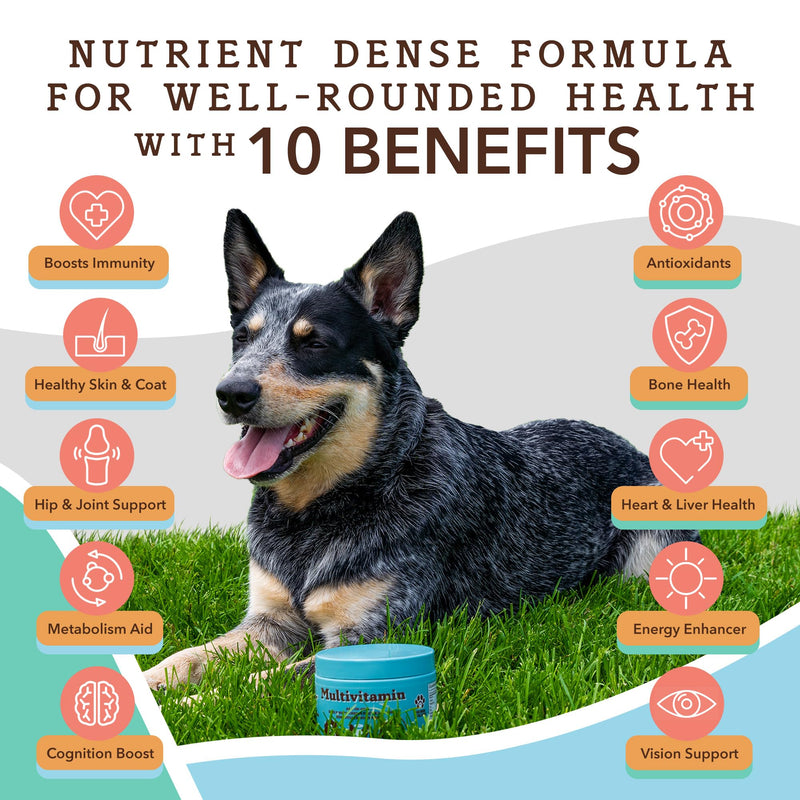 Natural Dog Company Everyday Itch Relief Bundle, Includes (1) Multivitamin Supplement Chews -90 pcs and (1) Skin and Coat Oil Food Topper-16 oz., Vitamins for dogs, Itch relief, Skin and Coat suppleme - PawsPlanet Australia