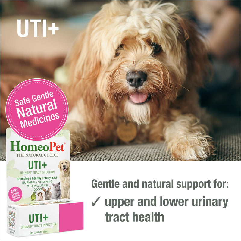 HomeoPet UTI+ Urinary Tract Relief, Safe and Natural Dog and Cat UTI Supplement, 15 Milliliters - BeesActive Australia
